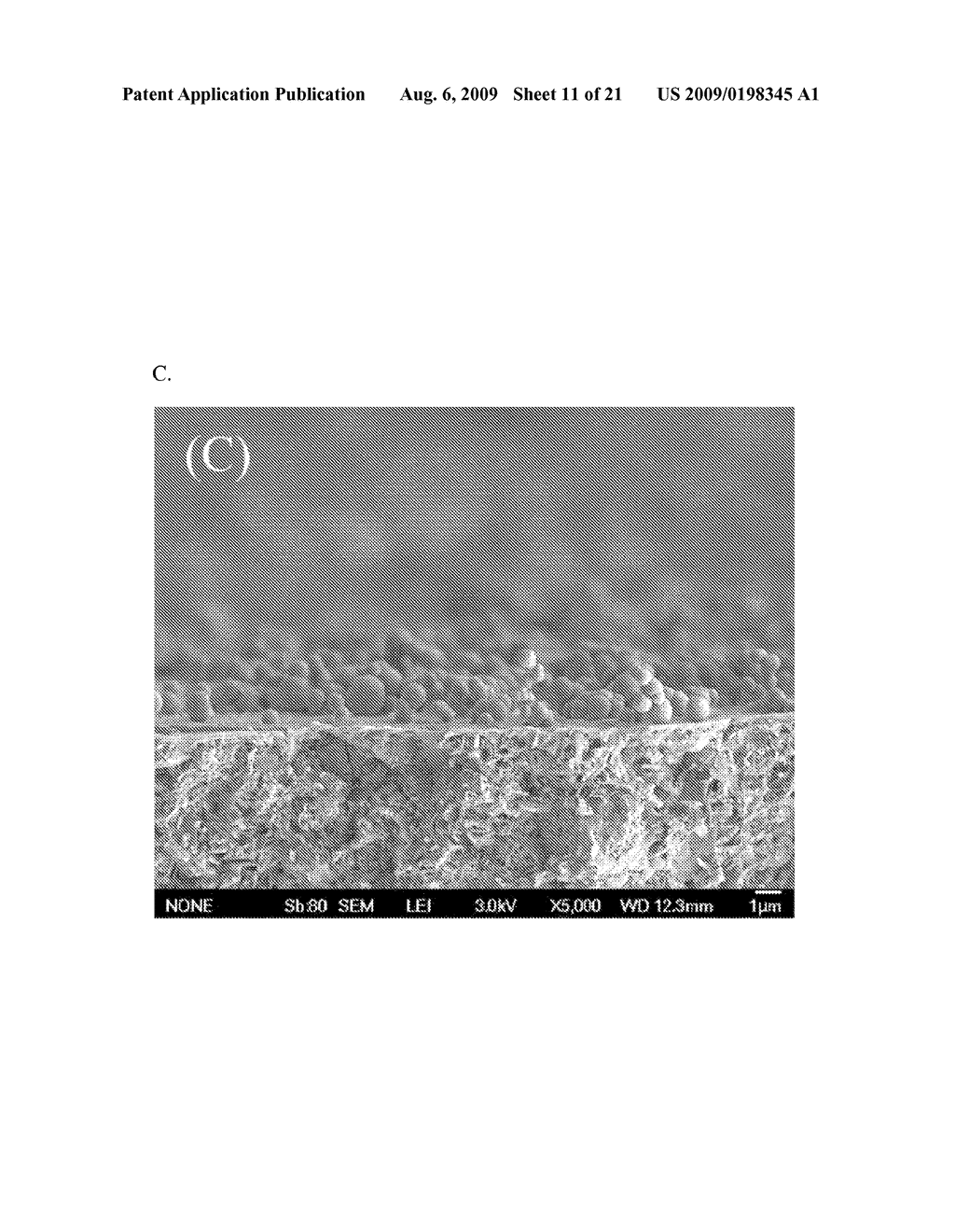 CALCIUM SILICATE-BASED COMPOSITE CEMENT AND MANUFACTURING METHOD THEREOF - diagram, schematic, and image 12