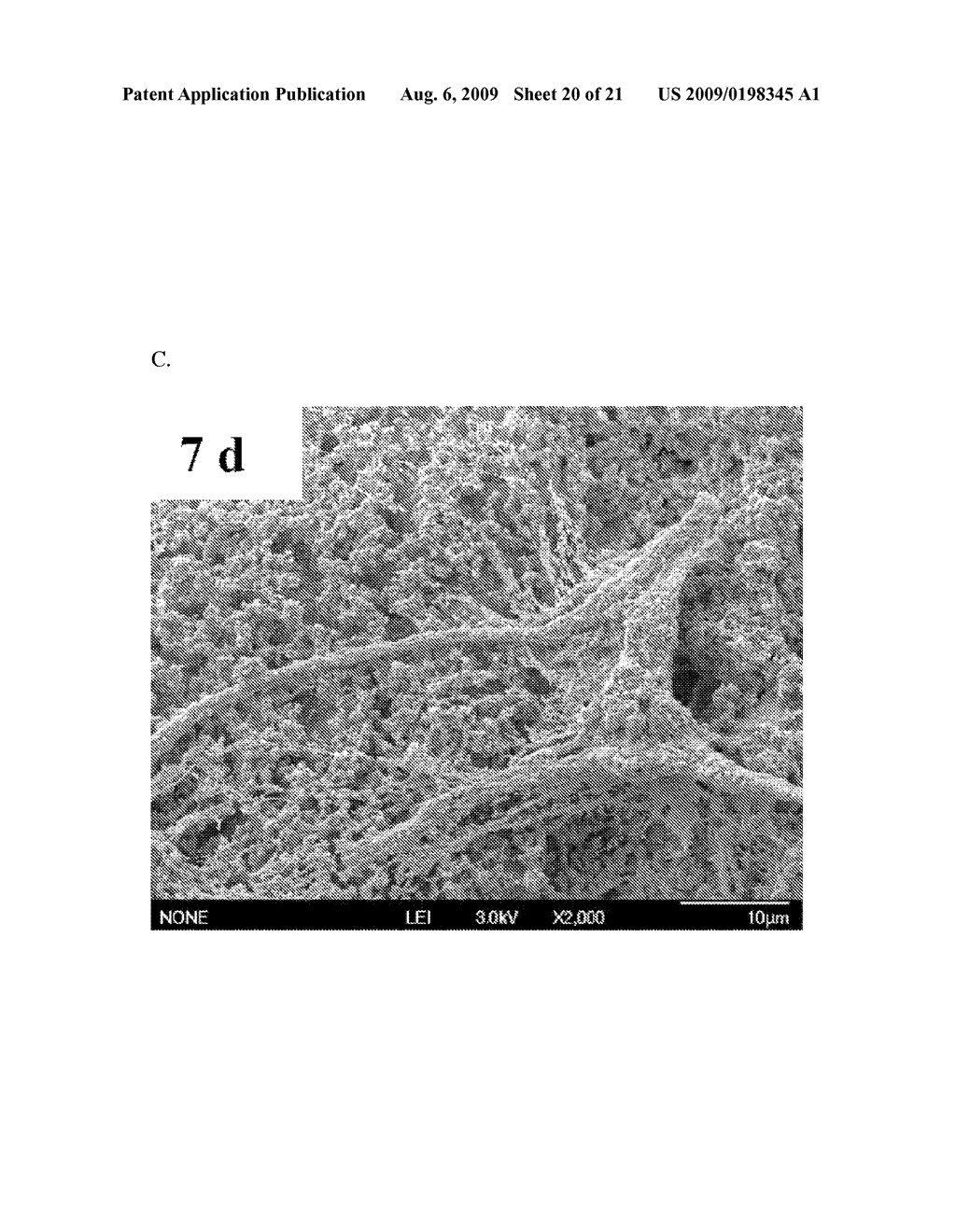 CALCIUM SILICATE-BASED COMPOSITE CEMENT AND MANUFACTURING METHOD THEREOF - diagram, schematic, and image 21