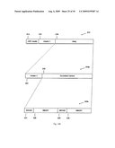 SYSTEMS AND METHODS FOR CONDITIONAL ACCESS AND DIGITAL RIGHTS MANAGEMENT diagram and image