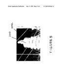 Thermography camera configured for gas leak detection diagram and image