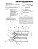 Oil Seal and Process for Producing the Same diagram and image