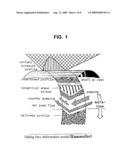 Oil Seal and Process for Producing the Same diagram and image