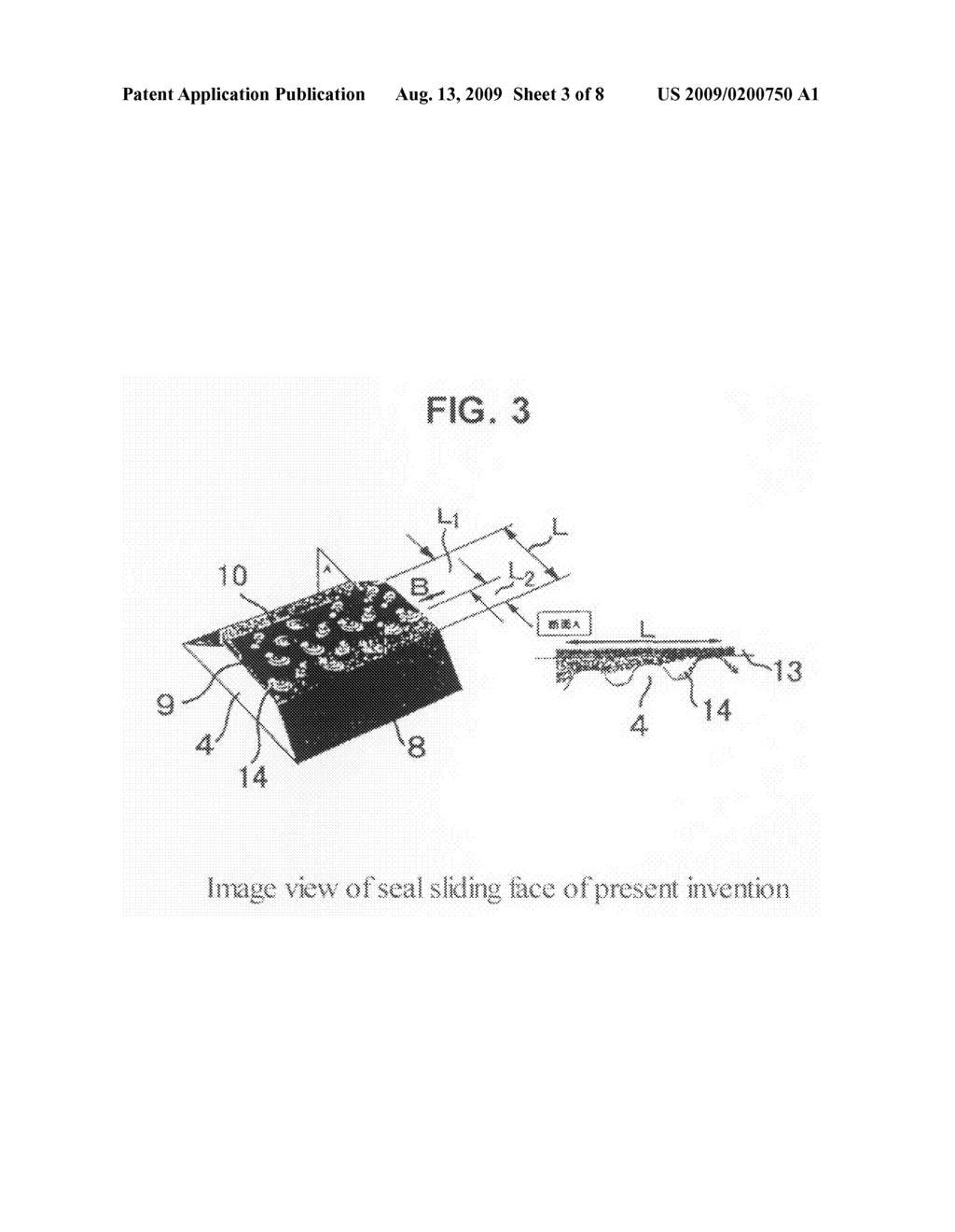 Oil Seal and Process for Producing the Same - diagram, schematic, and image 04