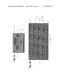 TEST HEAD FOR FUNCTIONAL WAFER LEVEL TESTING, SYSTEM AND METHOD THEREFOR diagram and image