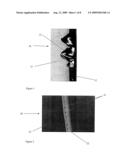 GLAZING INSPECTION diagram and image