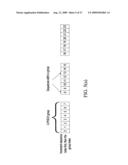 METHODS AND APPARATUS TO ALLOCATE ACKNOWLEDGEMENT CHANNELS diagram and image