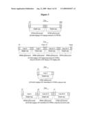 RANGING METHOD USING NEW RANGING STRUCTURE diagram and image