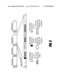 SYSTEM AND METHOD FOR WIRELESS COMMUNICATION OF UNCOMPRESSED VIDEO HAVING A DUAL-BEACON MECHANISM FOR TWO DEVICE TYPES diagram and image