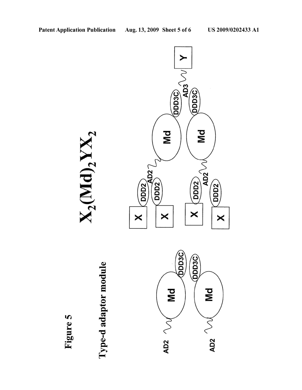 Methods and Compositions for Generating Bioactive Assemblies of Increased Complexity and Uses - diagram, schematic, and image 06