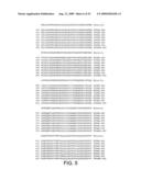 EPITOPE REGIONS OF A THYROTROPHIN (TSH) RECEPTOR, USES THEREOF AND ANTIBODIES THERETO diagram and image