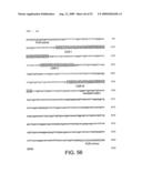 EPITOPE REGIONS OF A THYROTROPHIN (TSH) RECEPTOR, USES THEREOF AND ANTIBODIES THERETO diagram and image