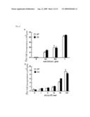 MODEL ANIMAL OF DENDRITIC CELL IMMUNORECEPTOR GENE KNOCKOUT DISEASE diagram and image