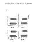 MODEL ANIMAL OF DENDRITIC CELL IMMUNORECEPTOR GENE KNOCKOUT DISEASE diagram and image