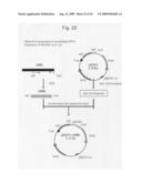 Detection of inflammatory disease and composition for preventing or treatment of inflammatory disease diagram and image