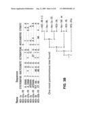 Prevention and Treatment of HCV Infection Employing Antibodies Directed Against Conformational and Linear Epitopes diagram and image