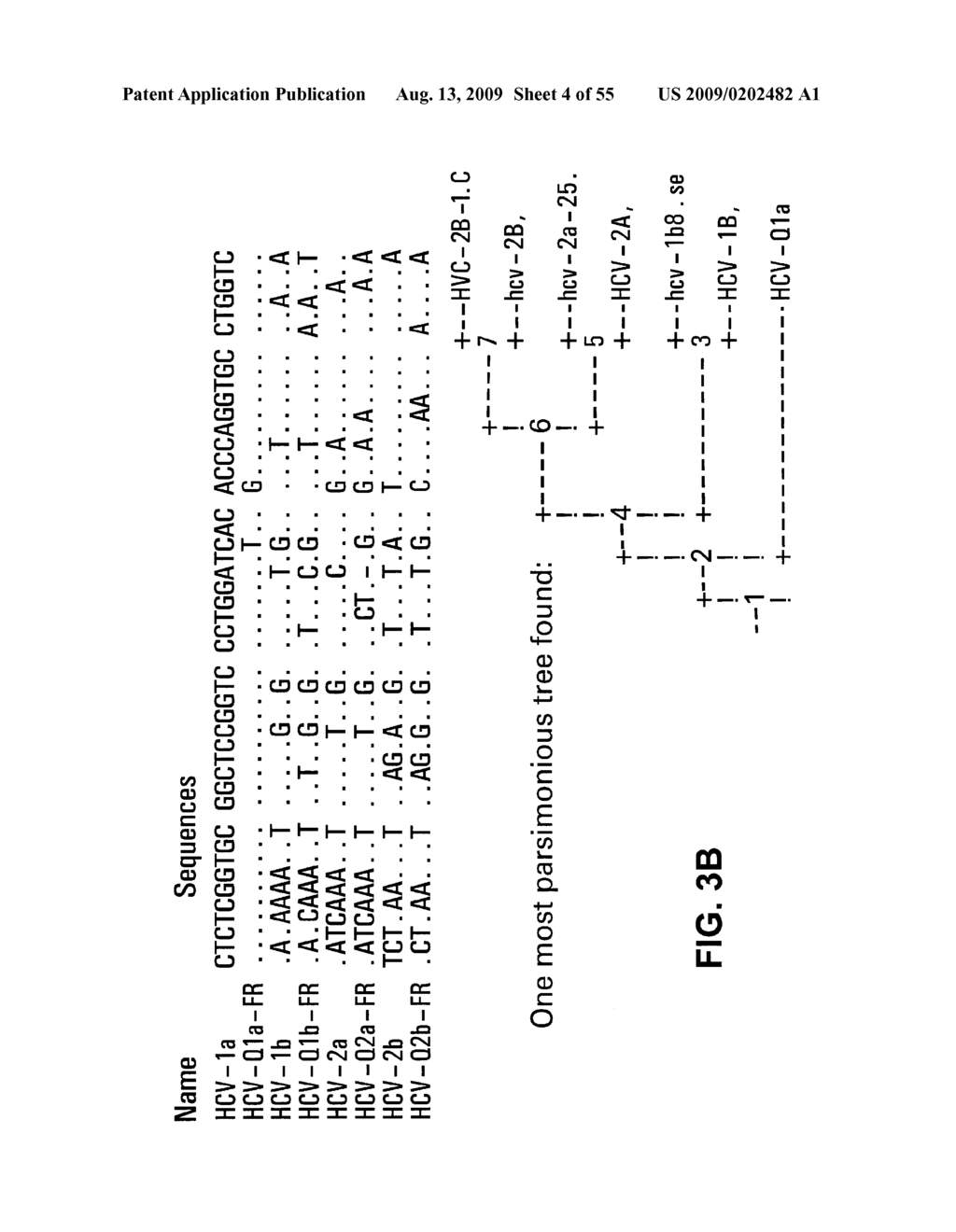 Prevention and Treatment of HCV Infection Employing Antibodies Directed Against Conformational and Linear Epitopes - diagram, schematic, and image 05