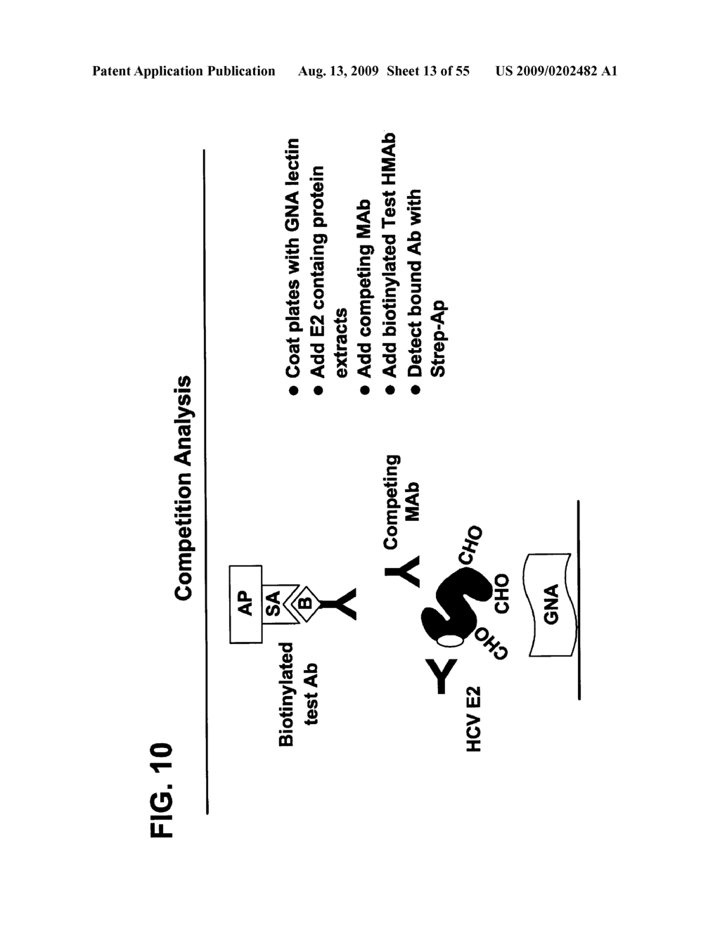 Prevention and Treatment of HCV Infection Employing Antibodies Directed Against Conformational and Linear Epitopes - diagram, schematic, and image 14