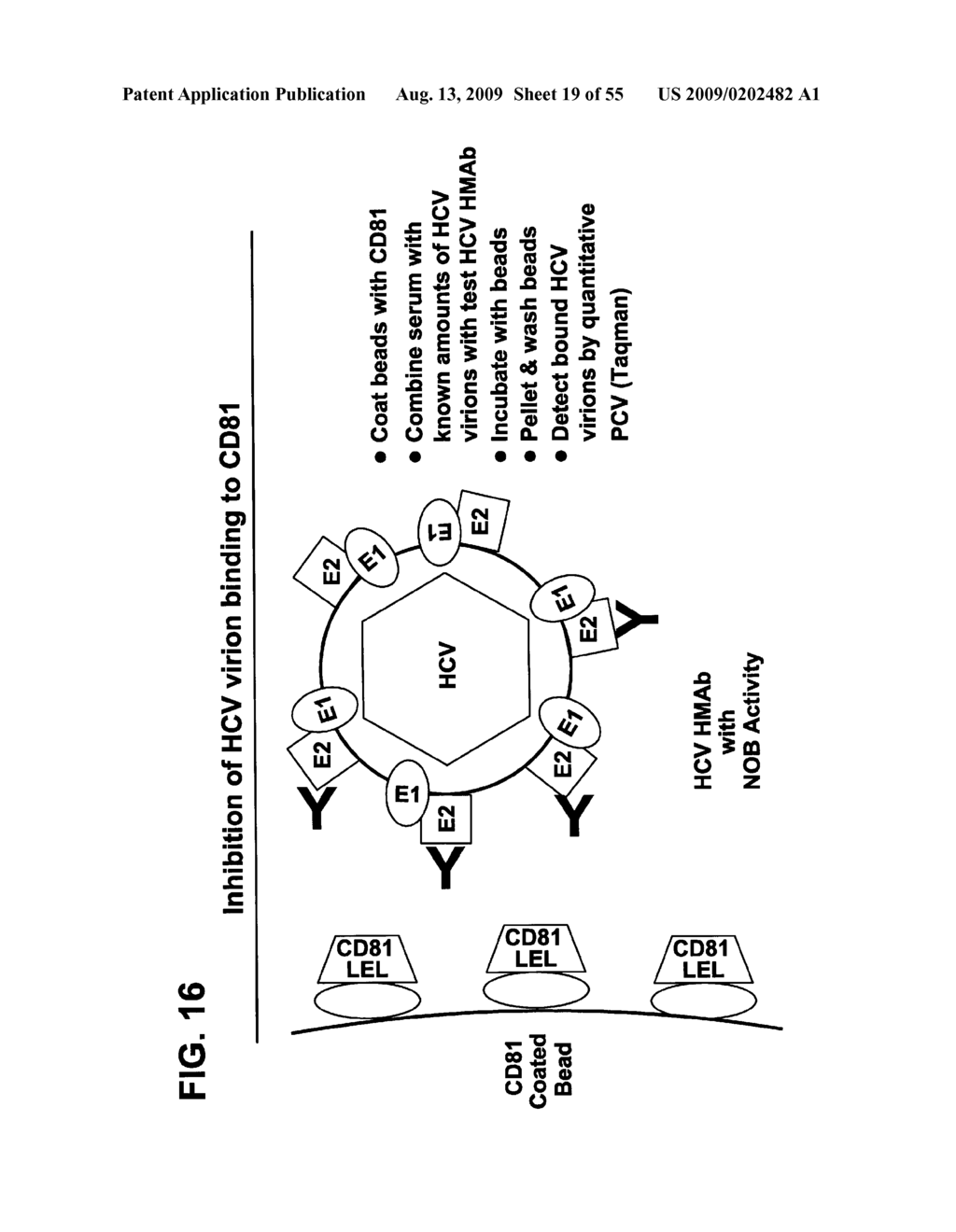 Prevention and Treatment of HCV Infection Employing Antibodies Directed Against Conformational and Linear Epitopes - diagram, schematic, and image 20