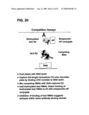 Prevention and Treatment of HCV Infection Employing Antibodies Directed Against Conformational and Linear Epitopes diagram and image