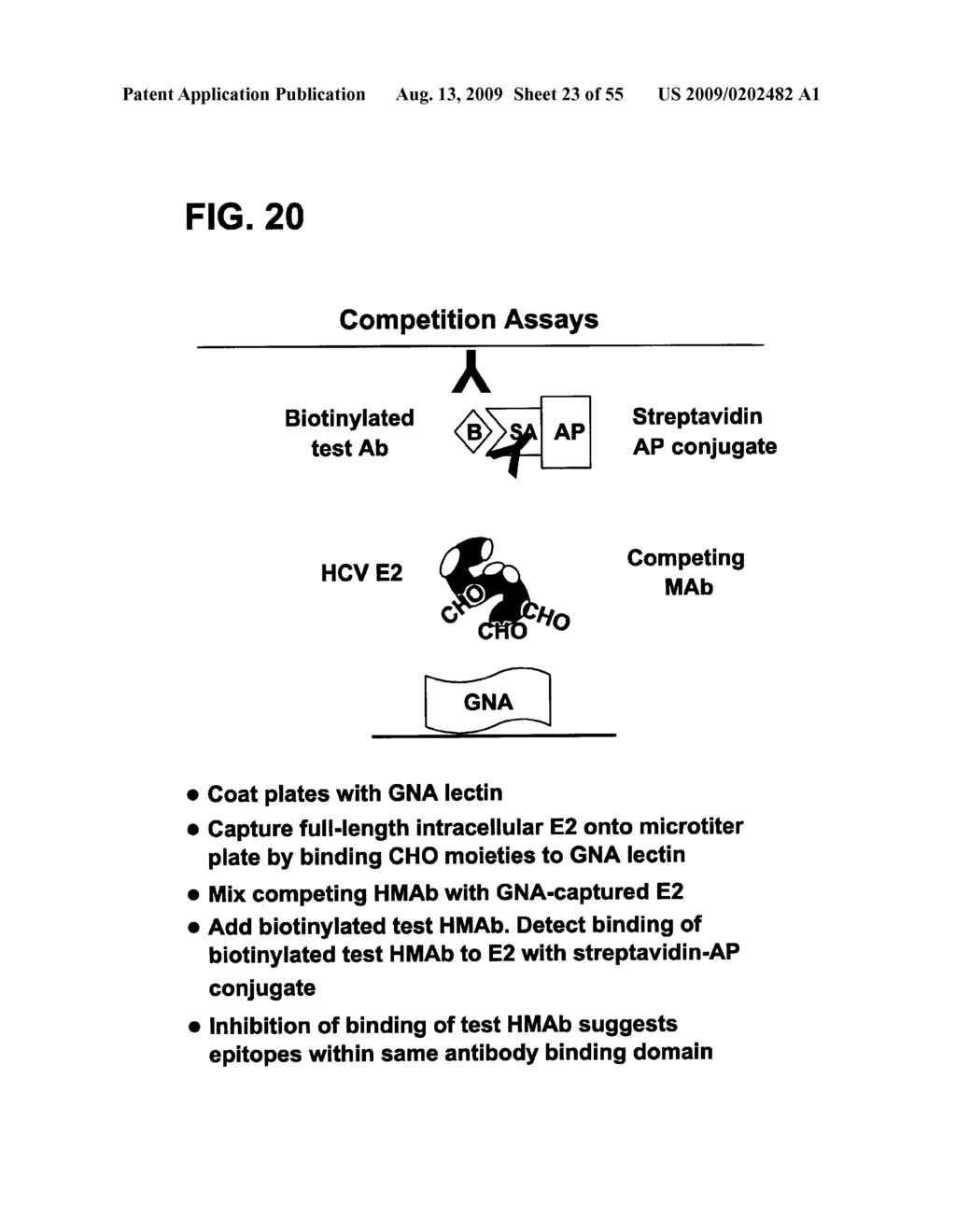 Prevention and Treatment of HCV Infection Employing Antibodies Directed Against Conformational and Linear Epitopes - diagram, schematic, and image 24