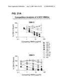 Prevention and Treatment of HCV Infection Employing Antibodies Directed Against Conformational and Linear Epitopes diagram and image