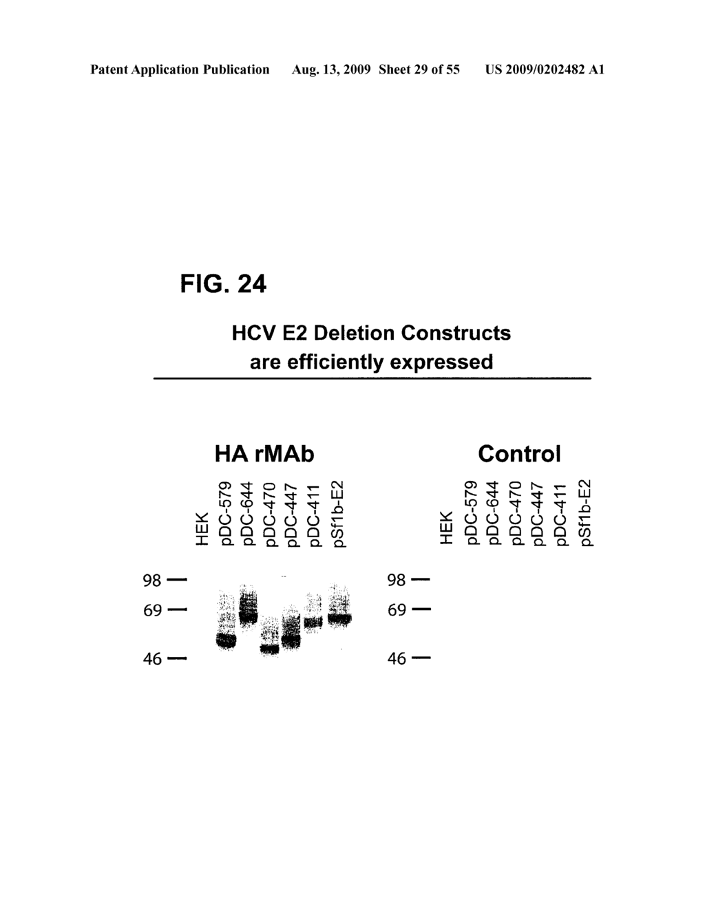 Prevention and Treatment of HCV Infection Employing Antibodies Directed Against Conformational and Linear Epitopes - diagram, schematic, and image 30