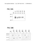 Prevention and Treatment of HCV Infection Employing Antibodies Directed Against Conformational and Linear Epitopes diagram and image