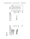 Prevention and Treatment of HCV Infection Employing Antibodies Directed Against Conformational and Linear Epitopes diagram and image