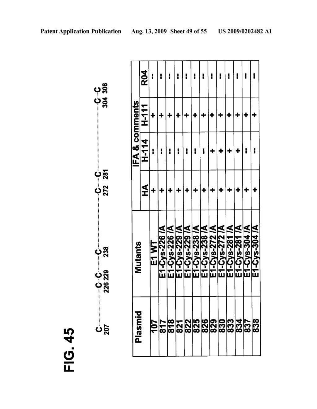 Prevention and Treatment of HCV Infection Employing Antibodies Directed Against Conformational and Linear Epitopes - diagram, schematic, and image 50