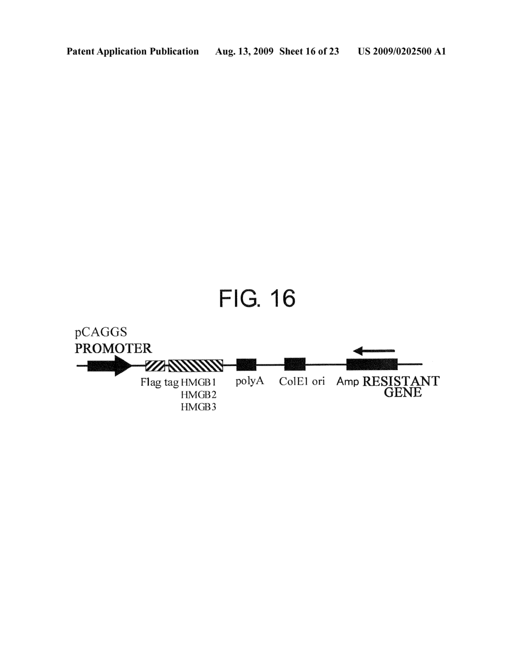 Pharmaceuticals That Promote Functional Regeneration of Damaged Tissues - diagram, schematic, and image 17