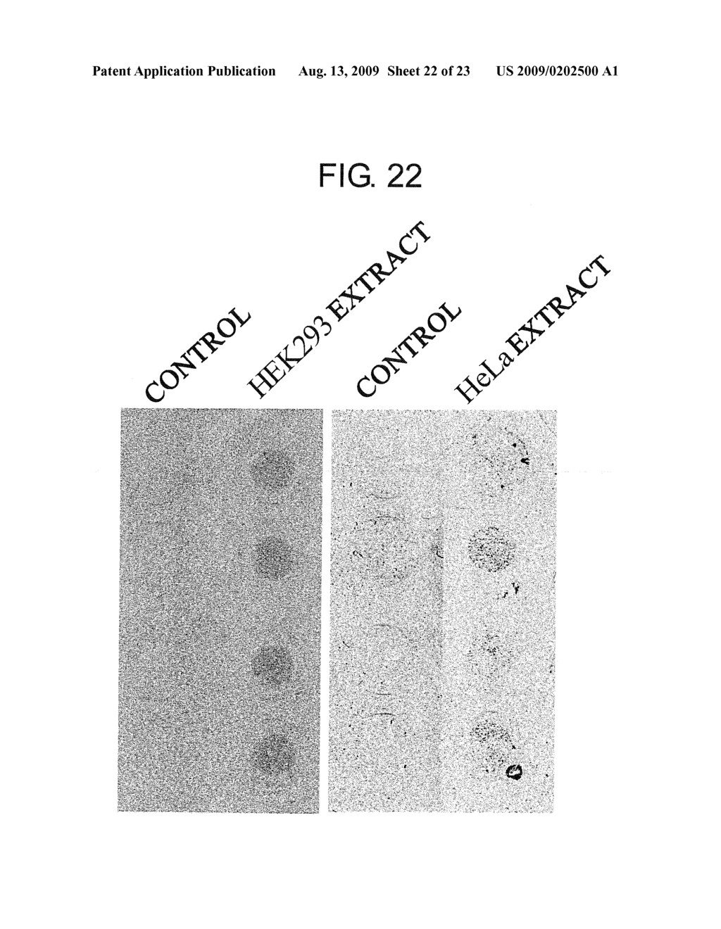 Pharmaceuticals That Promote Functional Regeneration of Damaged Tissues - diagram, schematic, and image 23