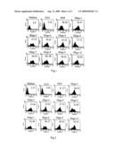 OLIGONUCLEOTIDES OR THEIR FUNCTIONAL HOMOLOGUES, A COMPOSITION COMPRISING THE SAME AND A METHOD OF TREATING B CELL NEOPLASM diagram and image