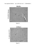 ATTENUATED VACCINE FOR TULAREMIA diagram and image