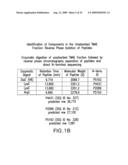 Novel immunogenic compositions for the prevention and treatment of meningococcal disease diagram and image