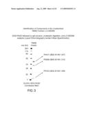 Novel immunogenic compositions for the prevention and treatment of meningococcal disease diagram and image