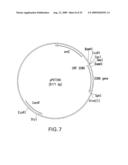 Novel immunogenic compositions for the prevention and treatment of meningococcal disease diagram and image