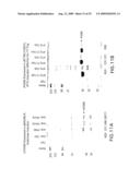 Novel immunogenic compositions for the prevention and treatment of meningococcal disease diagram and image