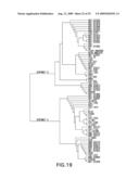 Novel immunogenic compositions for the prevention and treatment of meningococcal disease diagram and image