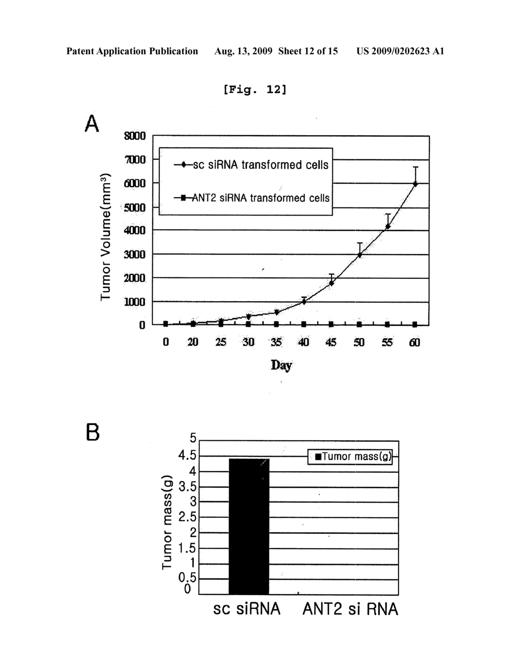 GENE THERAPY FOR CANCER USING SMALL INTERFERING RNA SPECIFIC TO ANT2 AND A METHOD TO OVERCOME TOLERANCE TO ANTITUMOR AGENT - diagram, schematic, and image 13