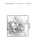 METHODS OF TREATING CANCERS diagram and image