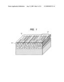 POLARIZED LIGHT-EMITTING FILM AND METHOD FOR PRODUCING THE SAME diagram and image