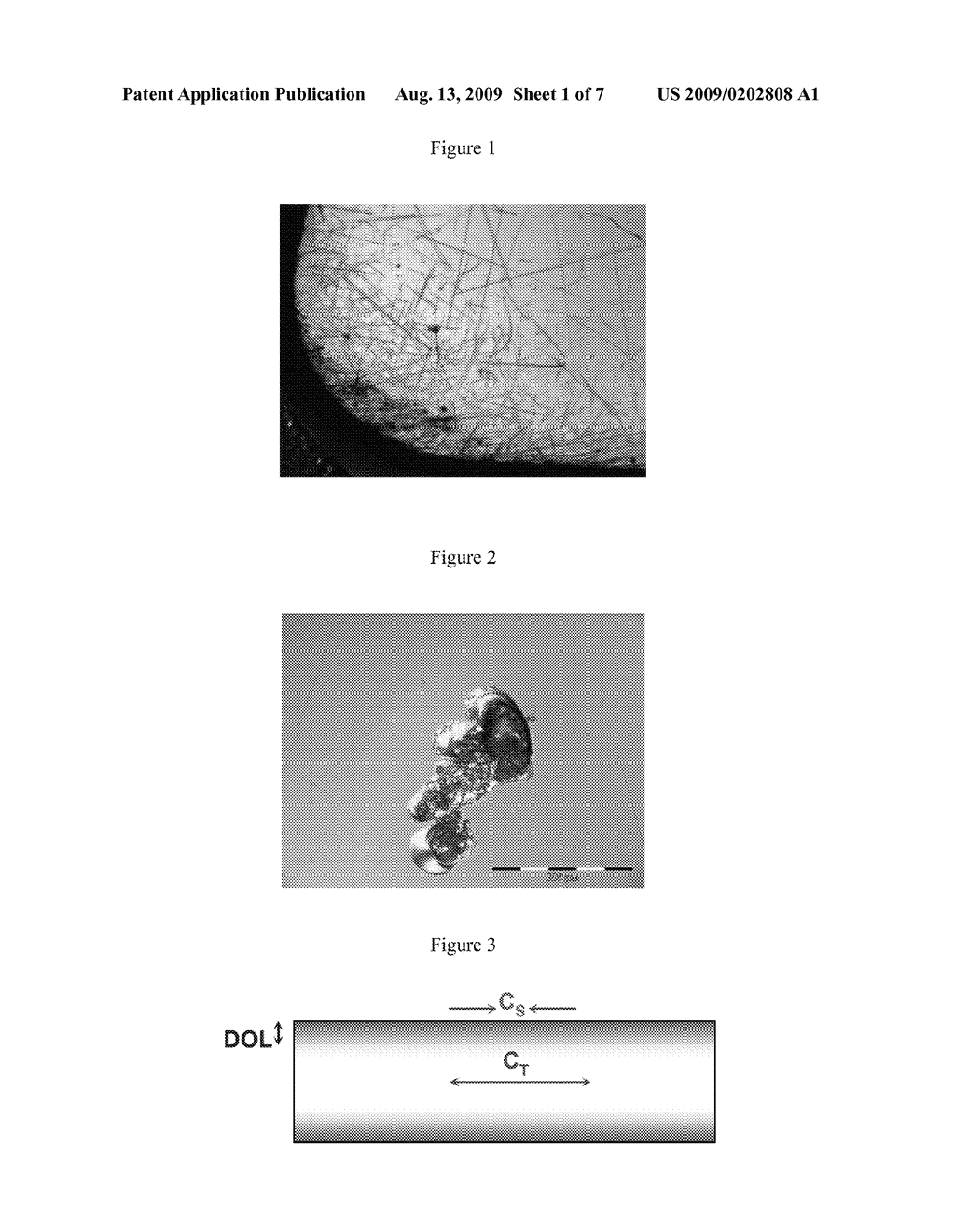 DAMAGE RESISTANT CHEMICALLY-TOUGHENED PROTECTIVE COVER GLASS - diagram, schematic, and image 02