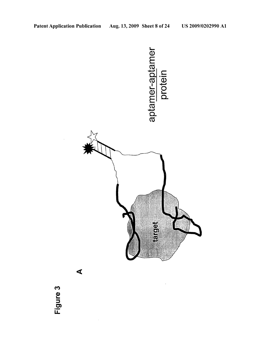 METHODS FOR THE SELECTION OF APTAMERS - diagram, schematic, and image 09