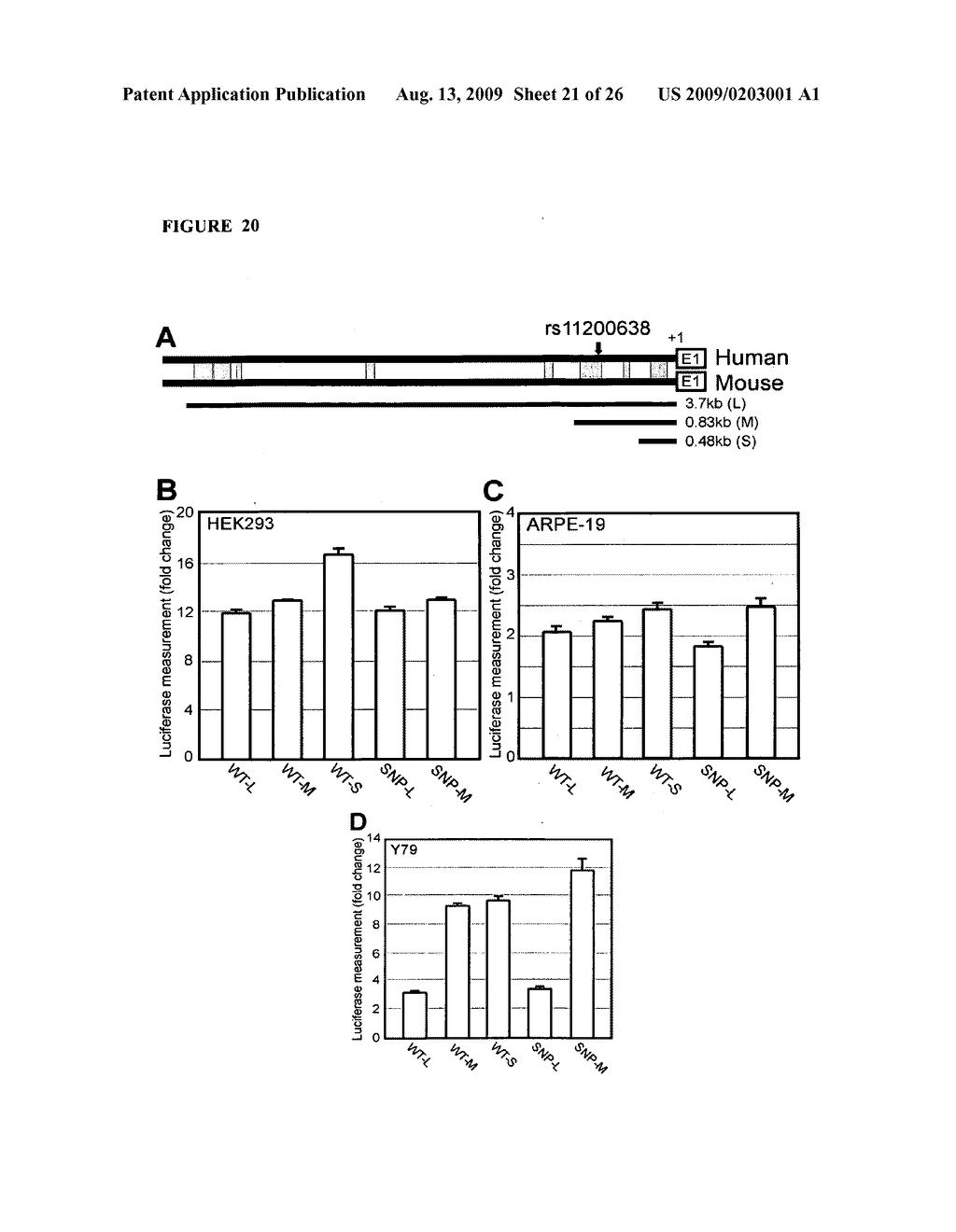 COMPOSITIONS AND METHODS FOR DIAGNOSING AND TREATING MACULAR DEGENERATION - diagram, schematic, and image 22