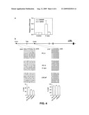 MSMB-gene based diagnosis, staging and prognosis of prostate cancer diagram and image