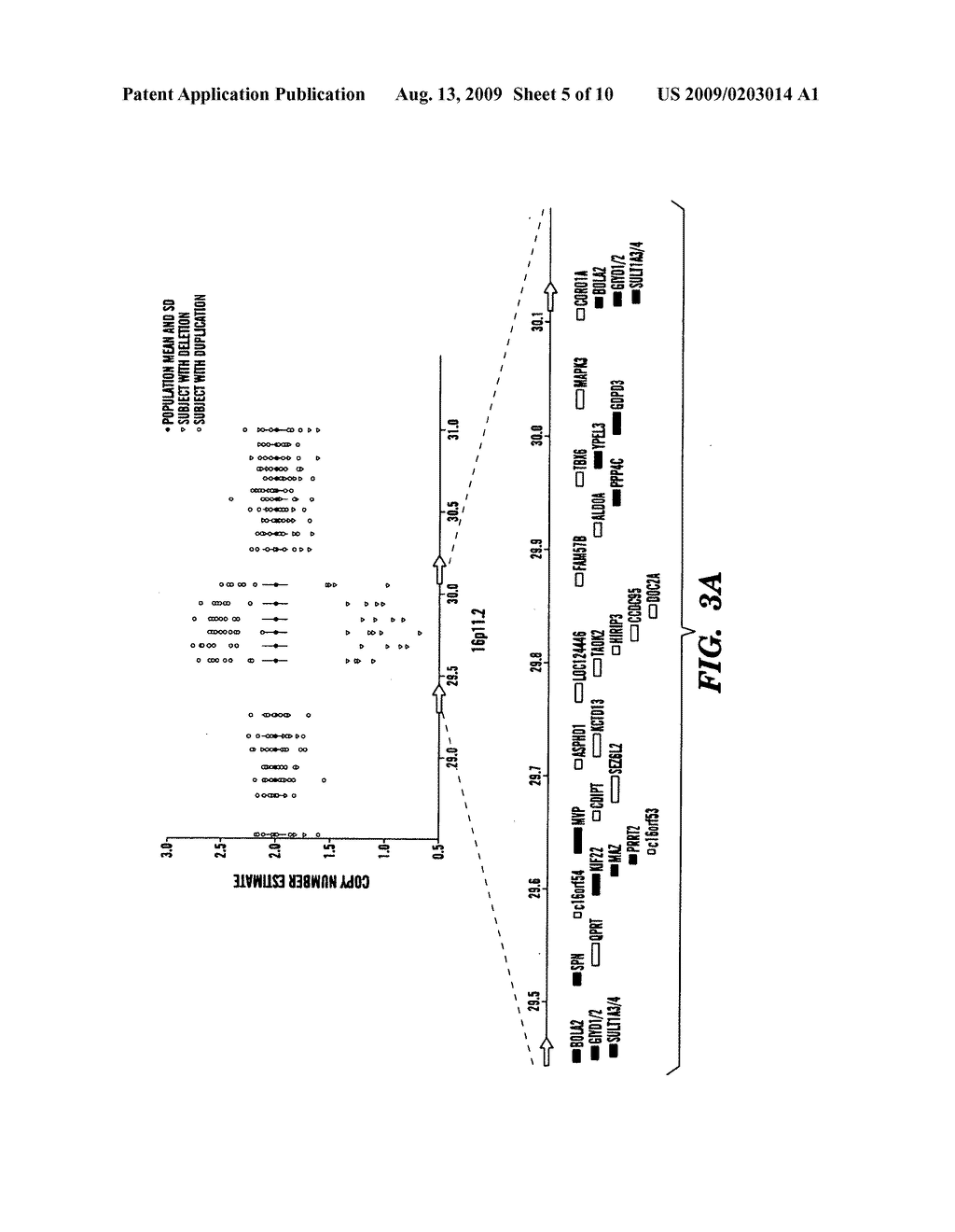 METHOD FOR DIAGNOSING AUTISM SPECTRUM DISORDER - diagram, schematic, and image 06