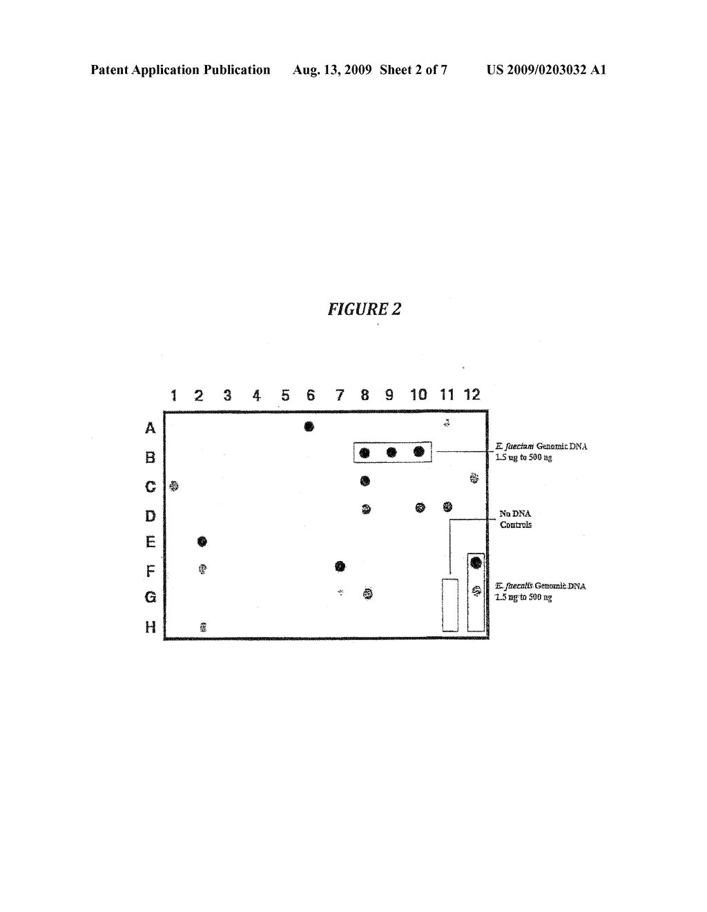 SPECIES-SPECIFIC PRIMER SETS AND IDENTIFICATION OF SPECIES-SPECIFIC DNA SEQUENCES USING GENOME FRAGMENT ENRICHMENT - diagram, schematic, and image 03