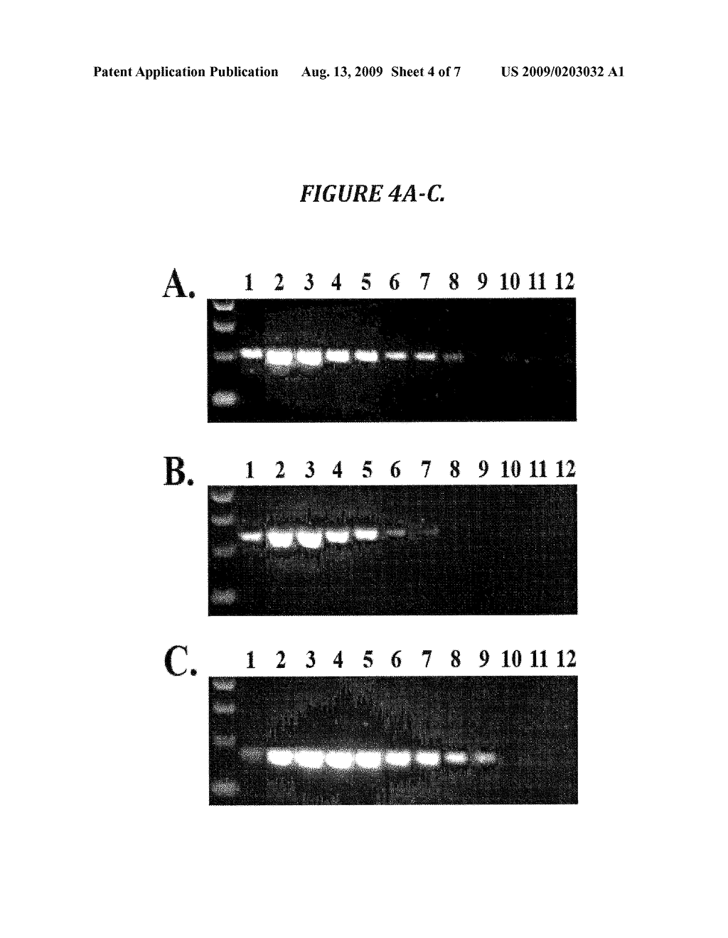 SPECIES-SPECIFIC PRIMER SETS AND IDENTIFICATION OF SPECIES-SPECIFIC DNA SEQUENCES USING GENOME FRAGMENT ENRICHMENT - diagram, schematic, and image 05