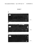 SPECIES-SPECIFIC PRIMER SETS AND IDENTIFICATION OF SPECIES-SPECIFIC DNA SEQUENCES USING GENOME FRAGMENT ENRICHMENT diagram and image