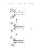 Anti-T. Cruzi Antibodies and Methods of Use diagram and image